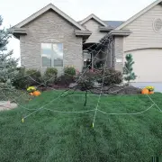24' Spider Yard Web Light-Up 210 Led - Morris Costumes