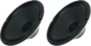 Bundle: (2) Ten 30 10" 30W Steel-Chassis Guitar Speaker 8 Ohm W/Ceramic Magnet