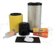 Tune-Up Kit-Air Oil Fuel Filter Spark Plug for Kawasaki Mule 4000/4010 (09-10)