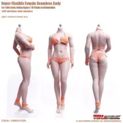 TBLeague PHMB2019 S29B S28A 1/6 Female Figure Phicen 12'' Seamless Buxom Body