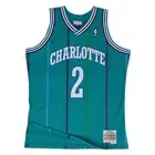 Mitchell & Ness NBA Swingman Road Jersey Hornets 92 Larry Johnson Teal Blue*NEW*