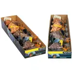 Aqua One Flexiscape Sea Snail- Various