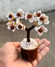 Gomti Chakra Rudraksh Tree Healing Gemstone Crystal Bonsai Fortune Money Tree for Good Luck, Wealth & Prosperity Home Office Kitchen Décor Spiritual Gift Shiva Eye Rudraksh