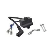 CDI Ignition Coil with Hardware for 50cc, 66cc, & 80cc Motorized Bike Engine