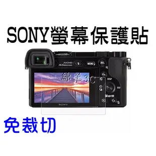 SONY 螢幕保護貼RX1R RX10 II III IV RX10II RX10III RX10IV WX500保護膜