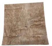 Eucalyptus Pommele wood veneer sheet 11" x 11" on paper backer 1/40" thickness