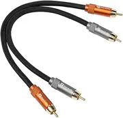 Fosi Audio 2 RCA Audio Cable, 2 Male to 2 Male Stereo Audio Cable for AV Receivers, Amplifiers, Active Speakers or Subwoofers with Gold-Plated Plugs, 0.3 m, Black
