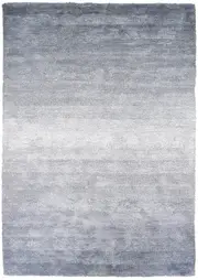 Ombre Shaggy in Grey Rug