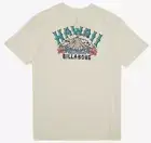 Billabong Men's Arch Hawaii Short Sleeve Tee T-Shirt