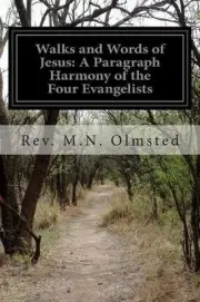 Walks and Words of Jesus: A Paragraph Harmony of the Four Evangelists by Rev M.N