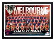 Framed 2023 Melbourne Demons AFL Finalists Poster - 62cm x 44.5cm x 3cm