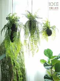 在飛比找樂天市場購物網優惠-森系室內空中垂吊樹根蕨類草仿真綠植物吊飾家居裝飾創意花藝設計
