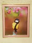 Home decor picture frame 8×10 picture of a Bird. Wall or Table decor. Please go