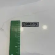 January Iron On/ Sew On Patch