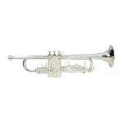 NEW Steinhoff TR20 Intermediate Student Bb Trumpet w/ Case (Silver)