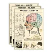 3x Cavallini Paper Poster Prints/Gift Wrap Art 50x70cm Phrenology & Palmistry