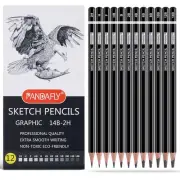 PANDAFLY Professional Drawing Sketching Pencil Set - 12 Pieces Graphite Penci...