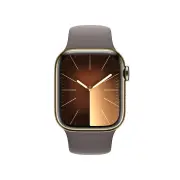 Apple Watch Series9 41mm Gold Stainless Steel Case GPS + Cellular (M/L)