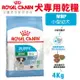 ✨橘貓MISO✨Royal Canin法國皇家 犬專用乾糧3Kg 小型離乳犬與母犬/小型室內幼犬 犬糧