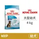 【法國皇家 Royal Canin】(AGR32 /MXP) 大型幼犬 4公斤 (狗飼料)