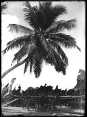 Queensland PNG Building with figures and a palm tree Pearls and sa - Old Photo