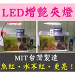 台灣製造★安規合格！ISTA LED增艷夾燈 增艷燈 LED燈 紅燈 西瓜燈 魚缸燈 水族箱燈具