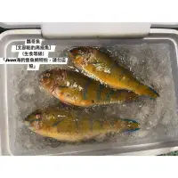 在飛比找蝦皮購物優惠-鸚哥魚（北部船釣，非澎湖）