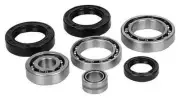 All Balls 25-2143 Differential Bearing and Seal Kit