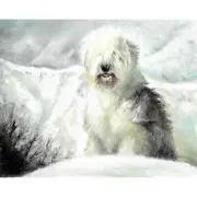 ✿ ORIGINAL Oil Portrait Painting OLD ENGLISH SHEEPDOG Artist Signed Artwork Art