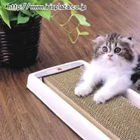 在飛比找蝦皮購物優惠-IRIS 可替換式 長形瓦楞紙貓抓板 換補式紙貓抓柱 環保貓
