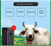 S10 GPS TRacker For Cattle Ship Wwithout collar and waterproof casing