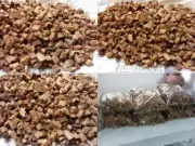 Coconut Husk Chips Orchids Anthurium Growing Dry Organic Media Free Shipping