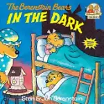 THE BERENSTAIN BEARS IN THE DARK