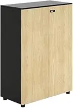 File Cabinet Original Wood Color + Black Office Double Door with Partition Storage Short Cabinet File Wooden with Lock Storage Data Office Drawer