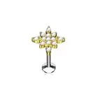 Piercing Ear Labret Lip Star Dazzling Golden