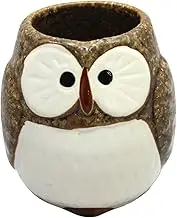 Craftmanhouse Owl Tea Cup