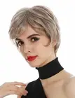 Ladies' Wig Monofilament Short Light Brown Silver Blond Highlights