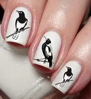 Magpie Nail Art Decal Sticker