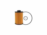 Baldwin Fuel Separator fits Isuzu NRR 2012 5.2L 4 Cyl 4HK1 87TVVK (for: Isuzu)