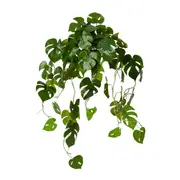 [Elme Living] Monstera Hanging Plant Potted - 38 x 35 x 84cm