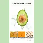 Yaqinuo Avocado Hydrating Eye Cream Fight Eye Bags Dark Circles Fine Lines W WAS