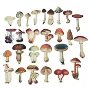 26Pcs Mushroom Paper Sticker DIY Scrapbooking Planner Junk Journal Craft Decor