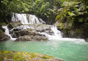 隱密天堂旅館