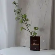 Book Vase Decor Art Tabletop Flower Pot Nordic Modern Home French Storage Box