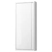 ÄNGSJÖN wall cabinet with door, high-gloss white, 40x15x95 cm