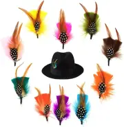 Hat Feather Assorted Natural Feather Men Women Hats Crafts Art DIY Colorful Hair