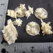 Western Diamondback Rattlesnake Snake Vertebrae Bone Strange FUSED ODD7