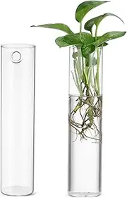 VANZACK 2Pcs Cylinder Glass Wall Planters Sleek Hanging Propagation Stations for Indoor Plants Hydroponic Vases for Home Decor Easy Care and Versatile Arrangements
