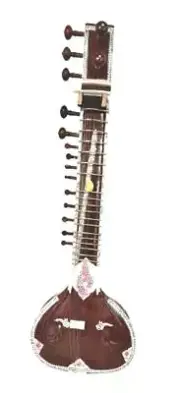 11 or 9 Sympathetic and 7 Main Strings Left & Right Handed Sitar Best Design Bag