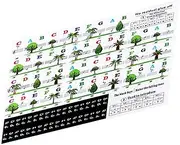 UPKOCH 88/61/54 Keys Piano Keyboard Stickers Set Adhesive Decals for Beginners Easy Peel Stick Safe Durable Piano Accessories